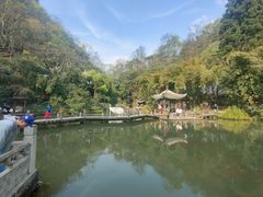 -黔灵山公园