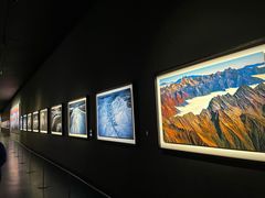 -罗红摄影艺术馆