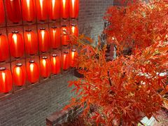 -火社火锅(平安大街店)