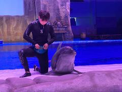 -华夏文旅海洋公园