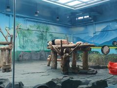 -秦皇岛野生动物园
