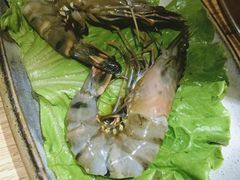 -隐家本格烧肉
