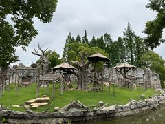 -上海野生动物园