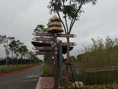 -上海长兴岛郊野公园