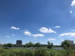 -蒲河岛湿地公园