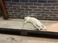 -马路边边串串香(大成路店)