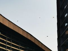 -滆湖低碳生态公园