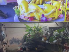 -食德喜·阳山鸡王食研基地