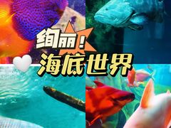 -上海海洋水族馆