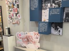 -伟伟宠物医院·CT影像中心·瑞派犬猫综合性门诊(汉口总院)
