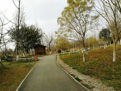 -白鹭湾湿地公园