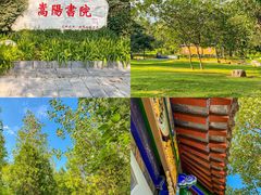 -禅宗少林·音乐大典