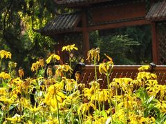 -北京市劳动人民文化宫(太庙)