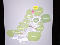 -新加坡飞禽公园