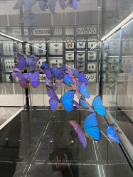 -酷嗒动物文化乐园(cutezoo西溪乐天城店)