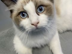 -零纪元VR体验馆·桌游(黄浦店)