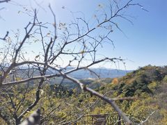 -香山公园