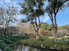 -杭州植物园