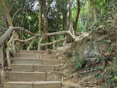 -梧桐山风景名胜区