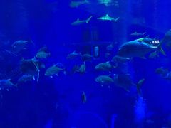 -成都浩海立方海洋公园