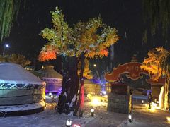 -大汗行宫园林餐厅