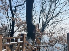 -老山国家森林公园
