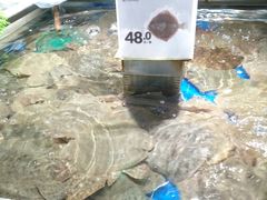 -盒马鲜生(首义店)