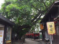 街景3-平乐古镇