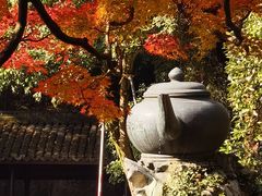 -虎跑公园