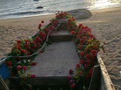 -那琴半岛地质海洋公园