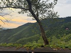 -莫干山风景区