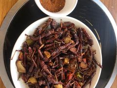 -瑞丽活螃蟹(芒市店)