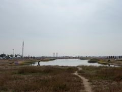 -敕勒川草原