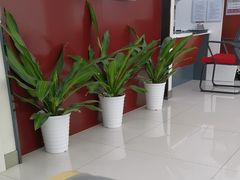 -中国银行(前滩支行)