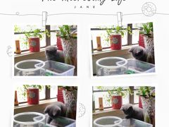 -爱侣宠医·鹦鹉专科·小型哺乳类·异宠专科(灵石路店)