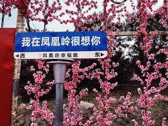 -北京凤凰岭