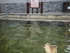 -望儿山温泉水乐园