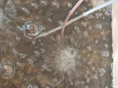 -佰园全日西餐厅-厦门佰翔软件园酒店