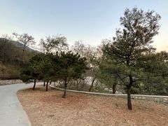 -北京西山国家森林公园