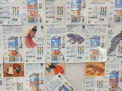 -玫瑰咖啡(中山六路店)
