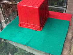 -福建天门山