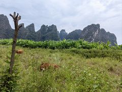 -英西峰林·洞天仙境