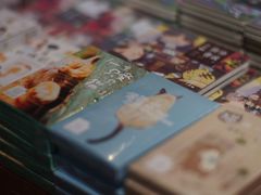 -猫咪博物馆(顶澳仔猫街店)