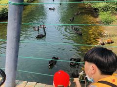 -长白岛森林公园