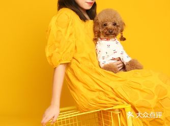 宠物写真｜小丸子2岁啦