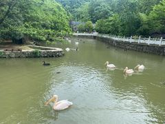 -黔灵山公园