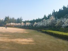 -上海市龙华烈士陵园