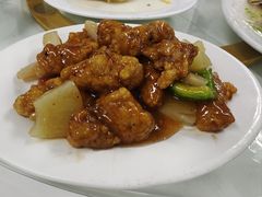 -新陶陶酒家