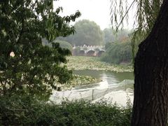 iphone_upload_pic-紫荆山公园