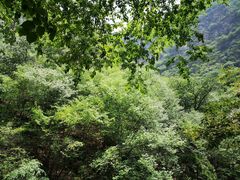 -北京上方山国家森林公园